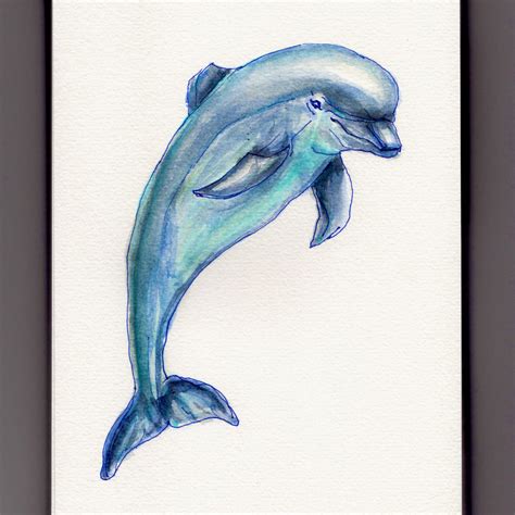 Dolphin art, Dolphin painting, Dolphin watercolor