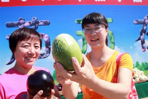 北京举行2018年茄子品种展示会