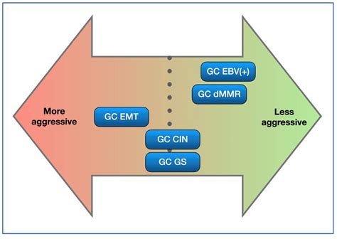 Implementing an On-Slide Molecular Classification of Gastric Cancer: A ...