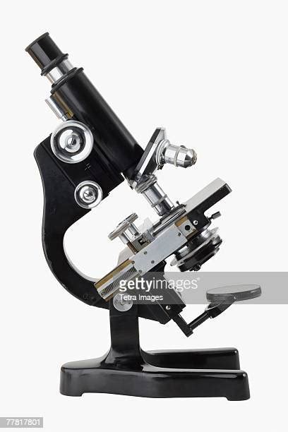 Image result for Microscope Optique