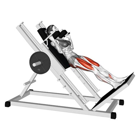 Hack Squat Foot Placement