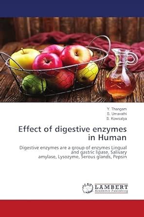 Effect of digestive enzymes in Human : S. Kowsalya: Amazon.in: Books