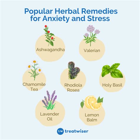 Herbs For Stress And Anxiety