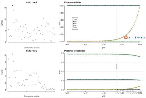 Colofit Algorithm 的图像结果