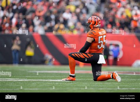 Cowboys release former Bengals linebacker Logan Wilson