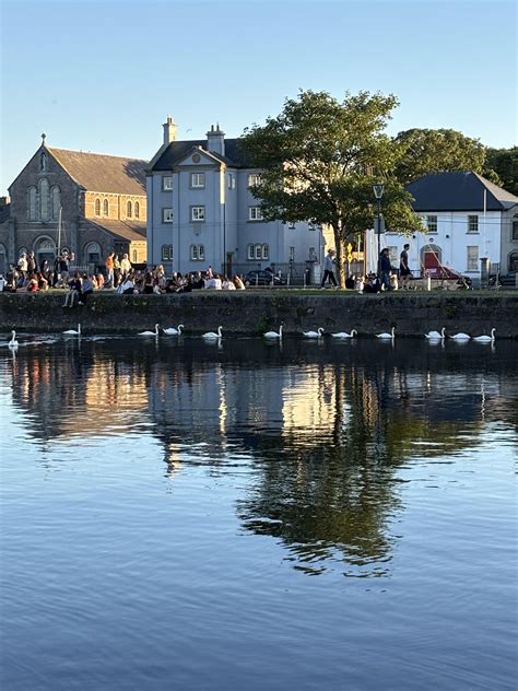 What’s with all the swans at Spanish Arch? : r/galway