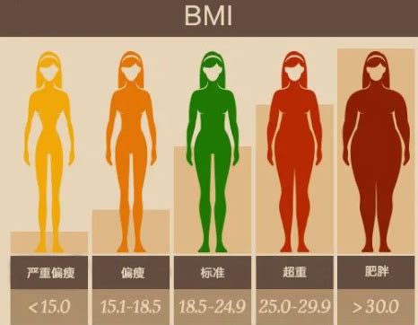 bmi正常值范围是多少-bmi正常值范围是多少胖瘦健康-找谱网