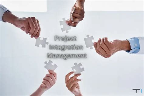 Project Integration Manager 的图像结果