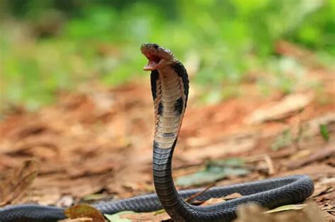 Blogs on Health Issues & Awareness on Diseases | Amar Clinic