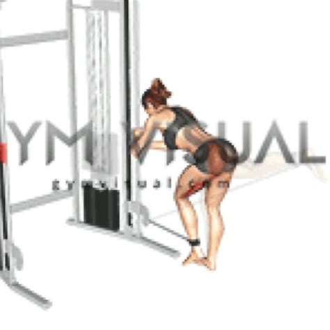 Image result for Cable Kickbacks