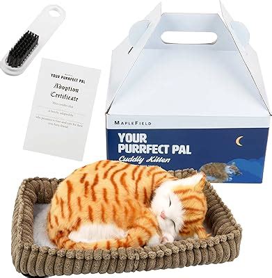 Maplefield Cat Stuffed Animal Doll - Realistic India | Ubuy