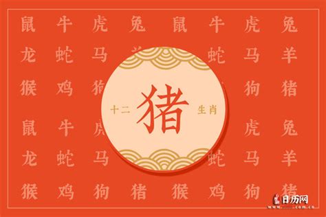 生肖属猪的今年多大,属猪的年份? - 百科 - 学识网