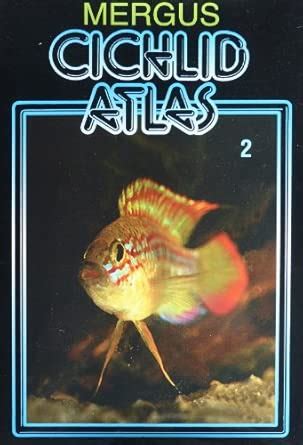 Buy Baensch Cichlid Atlas, Vol. 2 (v. 2) Book Online at Low Prices in ...
