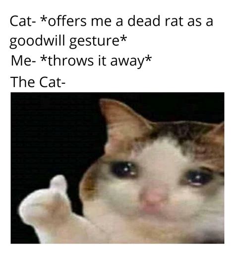 42 Crying Cat Thumbs Up Meme Template