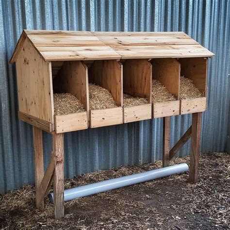 3 Must-Try DIY Nesting Box Ideas for Your Chickens (Easy in 2025 | Diy ...