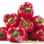 PAPRIKE PUNJENE KROMPIROM | Vrhunski Recepti
