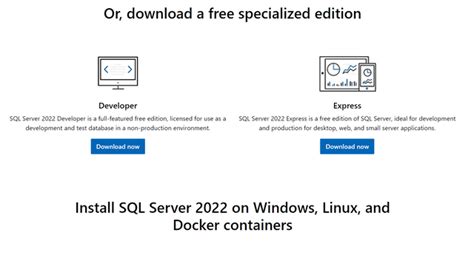 SQL Server 2019 Developer Download 的图像结果