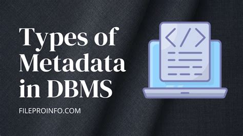 Metadata of a Database System 的图像结果