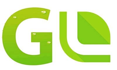 Company Overview - Wuhu Guli Ortho Co., Ltd.