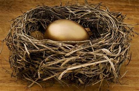 FundsIndia explains: What is portfolio concentrationInsights