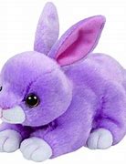 Image result for Wild Rabbit Baby Bunnies