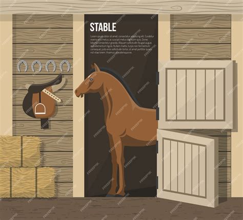Stable Course Poster 的图像结果
