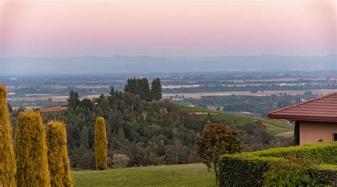 BLACK WALNUT INN & VINEYARD (Dundee) - Inn Reviews, Photos, Rate ...