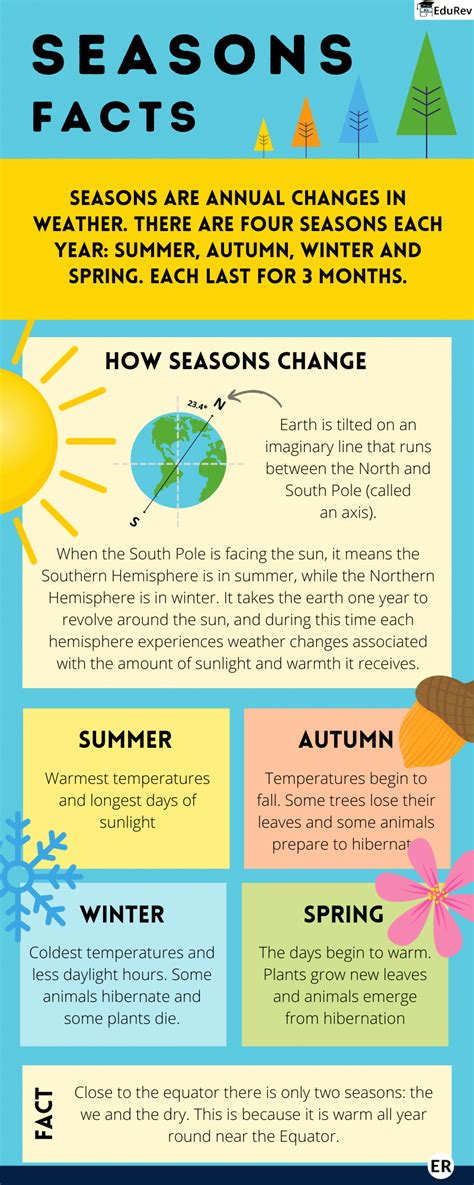 Infographics: Rotation of Earth and Seasons - Social Studies for Class ...