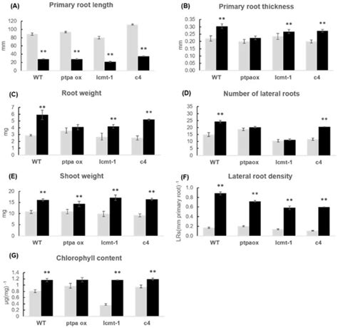 Specific PP2A Catalytic Subunits Are a Prerequisite for Positive Growth ...