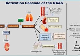 Image result for Raas Cascade