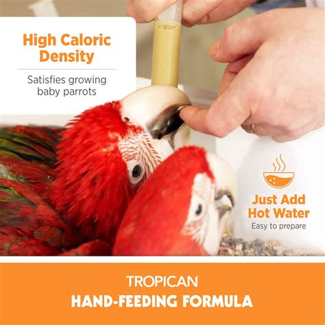 Pet Parrot Hand Feeding Formula 的图像结果