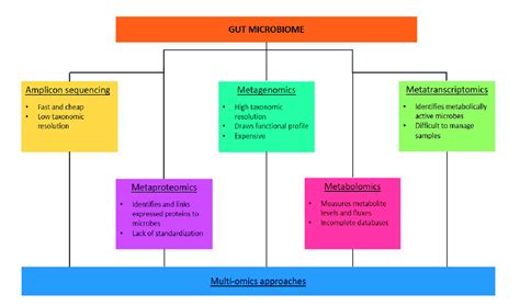 Image result for High Throughput Sequencing Applications