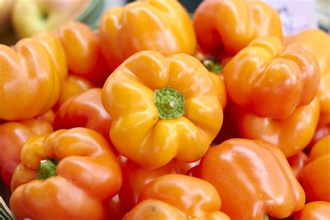 Bell Peppers Are Nutrient Dense and Low in Calories — Here's How to Eat ...