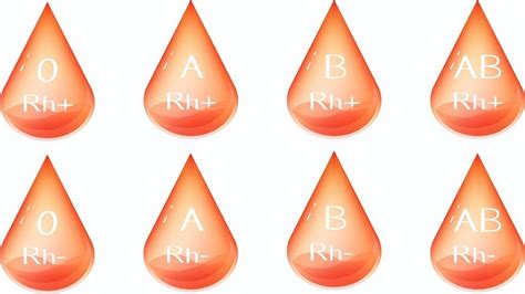 宝鸡发现 1 例「黄金血」cisAB 血型，什么是 cisAB 血型？将对稀有血型系统的开发有何意义？ - 知乎