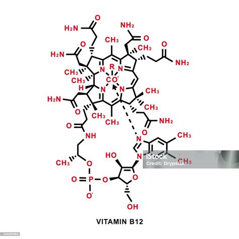 Formula Kimia Vitamin B12 Struktur Molekul Kimia Vitamin B12 Ilustrasi Vektor Ilustrasi Stok ...