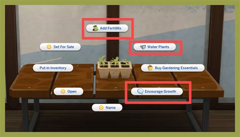 Microgreens Growing Kit – icemunmun