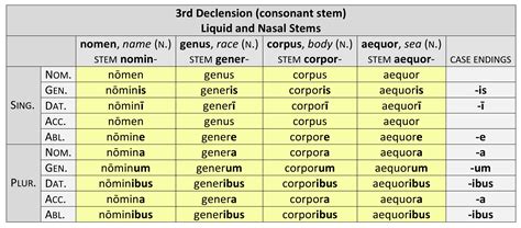 2Nd Declension Latin
