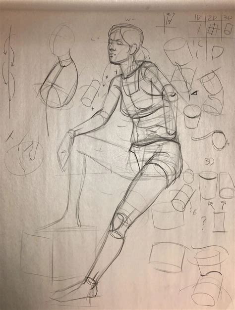 Anatomy Drawing Online at Whitney Luke blog