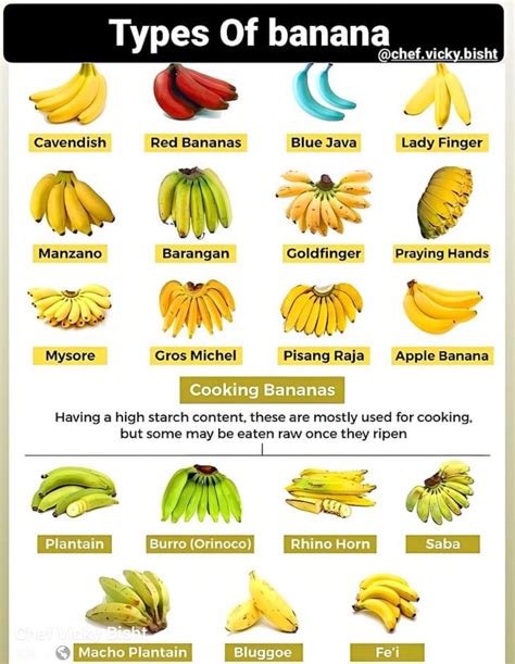 Banana Varieties List Banana Expert System