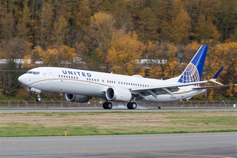 Explained: United Airlines' Pet Policy