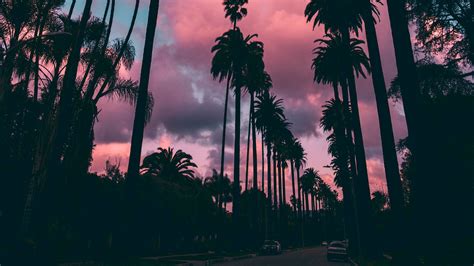 Download wallpaper 1920x1080 palm trees, sunset, clouds, tropics, sky ...