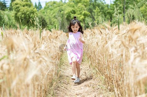 小女孩稻田奔跑高清图片下载-正版图片501338981-摄图网