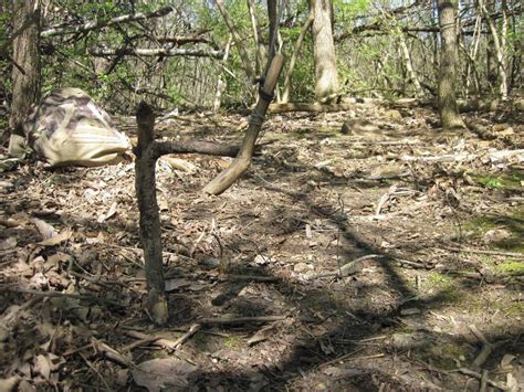 Image result for Spring Snare