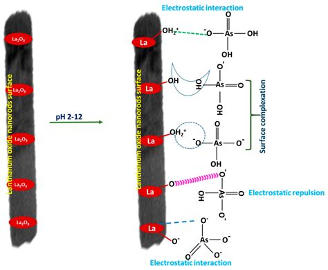 Facile Synthesis, Characterization, and Adsorption Insights of ...