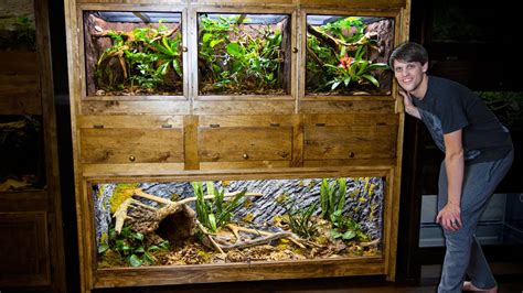 Image result for Reptile Python Cage