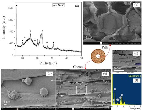 Strategic Synthesis to Disperse Zeolite NaY in Lead Tree Wood