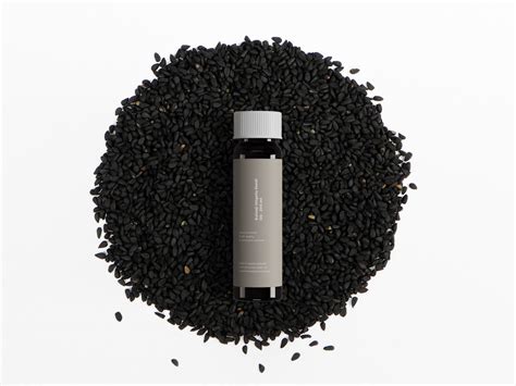 Sustainable Living: Eco-Friendly Products for You & Home – The SGStore