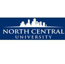 Animation Courses at North Central University: Fees, Eligibility ...