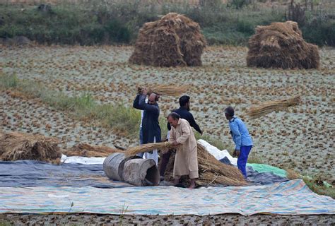 In Jammu and Kashmir, a new department opens to register land transactions