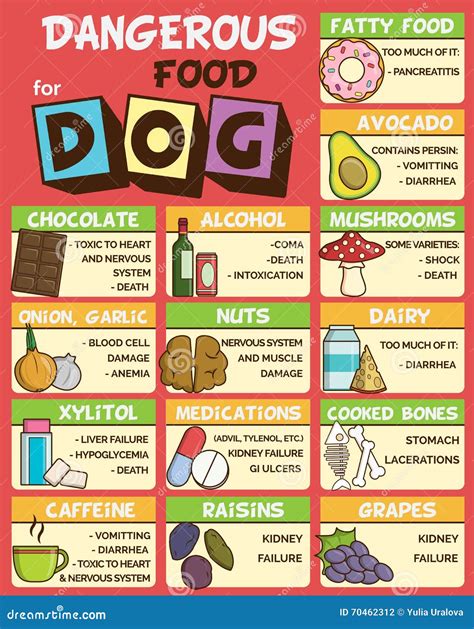 Dangerous food for dogs stock vector. Illustration of food - 70462312